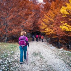 Hikers trail explore